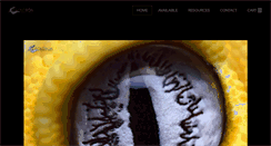 Desktop Screenshot of geckoboa.com